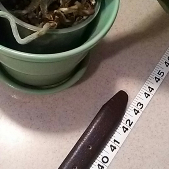 Men's Genuine Leather Belt Size 38 - Picture 3 of 4